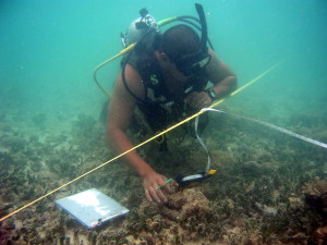 Working Underwater