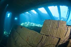 Tile Wreck in the Red Sea