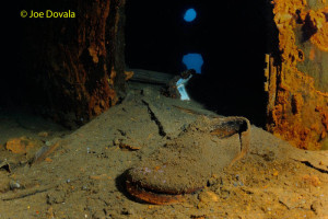 A shoe found on the Wreck of PLM 27 