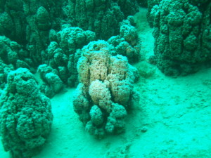 Pavilion Lake British Columbia Canada underwater sites