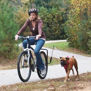 Dog Bike Leash - WalkyDog Biking Leash - That Mutt