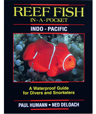 Marine Sports Mini Fish ID Reefcombers Pocket Guide - Scuba Diving